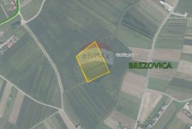 Građevinsko zemljište 17006 m2, Brezovica, Zagreb, Brezovica, Land