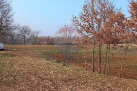 Okolica Pazina, građevinsko zemljište gospodarska zona, Pazin - Okolica, Zemljište