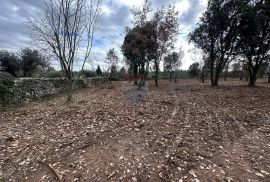 ISTRA, RAKALJ - Građevinsko zemljište 3153m2 s pogledom na more, Marčana, Land