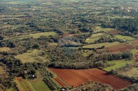 Pula, Ližnjan, građevisnko zemljište TP namjene uz glavnu prometnicu, Ližnjan, Land