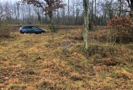 Istra, Grožnjan okolica, lijepa građevinska parcela, Grožnjan, Tierra