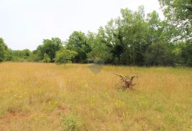 Istra, Grožnjan okolica, lijepa građevinska parcela, Grožnjan, Γη