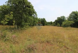 Istra, Grožnjan okolica, lijepa građevinska parcela, Grožnjan, Zemljište