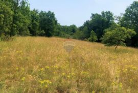 Istra, Grožnjan okolica, lijepa građevinska parcela, Grožnjan, Zemljište