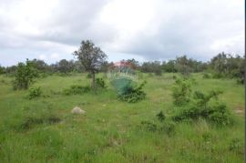 Građevinski teren u srcu Istre, Barban, Land