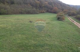 Kanfanar,Vidulini-lijepo poljoprivredno zemljište-13270m2, Kanfanar, Terrain