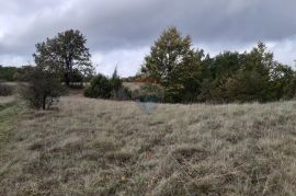 Istra, Žminj okolica poljoprivredna parcela 24839m2, Žminj, Zemljište