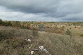 Istra, Žminj okolica poljoprivredna parcela 24839m2, Žminj, أرض