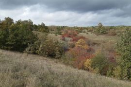 Istra, Žminj okolica poljoprivredna parcela 24839m2, Žminj, Zemljište