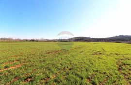 Istra, poljoprivredno zemljište 5 km od Poreča, Poreč, Terreno