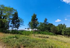 Istra, Karojba, građevinsko zemljište 1524 m2, Karojba, Land