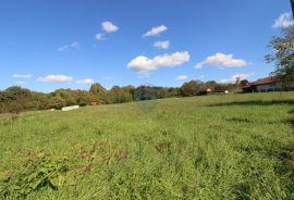 Petrinja, Donja Budičina, građevinsko zemljište 7215 m2, Petrinja, Land