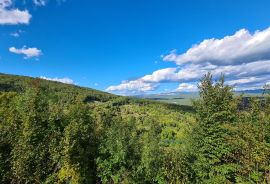 Matulji, Zvoneća - negrađevinsko zemljište (šuma) površine 2208 m2, Matulji, Terrain