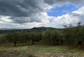 Pazin - Okolica, predivno zemljište sa pogledom na Butonigu i Ćićariju, Pazin - Okolica, Tierra