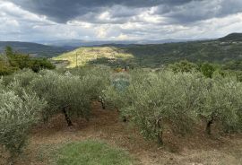 Pazin - Okolica, predivno zemljište sa pogledom na Butonigu i Ćićariju, Pazin - Okolica, Tierra