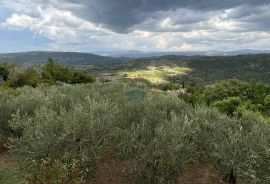 Pazin - Okolica, predivno zemljište sa pogledom na Butonigu i Ćićariju, Pazin - Okolica, Tierra