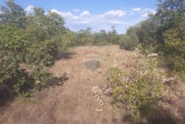 Juršići, Istra, poljoprivredno zemljište 139018 m2, Svetvinčenat, Terrain