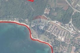 Rovinj,maslinik 3200m2,250m od mora, Rovinj, Terreno