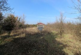 Istra, Ližnjan, Građevinsko zemljište 200m od mora, Ližnjan, Terreno