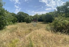 Kostrena, Perovići, građevinski teren površine 3399m2, Kostrena, Terrain