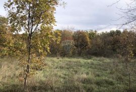 RAKALJ, građevinsko zemljište na lijepoj lokaciji, Marčana, Land