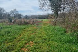 Šišan, poljoprivredno zemljište 10 600 m2, Ližnjan, Land