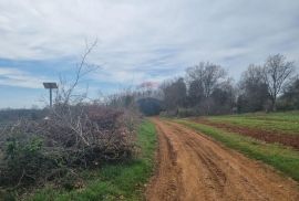 Šišan, poljoprivredno zemljište 10 600 m2, Ližnjan, Land