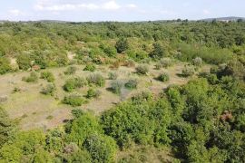 Istra, Buje- Građevinsko zemljište poslovne namjene, Buje, Terreno