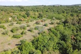 Istra, Buje- Građevinsko zemljište poslovne namjene, Buje, Terreno