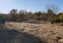 Juršići, Istra, poljoprivredno zemljište 19770 m2, Svetvinčenat, Земля