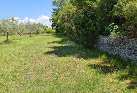 Bale , poljoprivredno zemljište površine 13.128 m2, Bale, Terrain