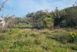 Otok Rab, poljoprivredno zemljište u Banjolu, Rab, Terrain