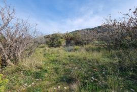 Otok Rab, poljoprivredno zemljište u Banjolu, Rab, Terrain