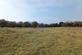 Štinjan, Istra, građevinsko zemljište površine 561m2 s predivnim pogledom na more, Pula, Land