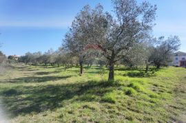 ISTRA, GALIŽANA Poljoprivredno zemljište na rubu urbanizacije, Vodnjan, Земля