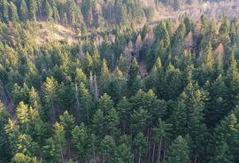 Građevinski teren sa velikim poljoprivrednim dijelom, Delnice, Земля