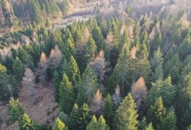 Građevinski teren sa velikim poljoprivrednim dijelom, Delnice, Земля