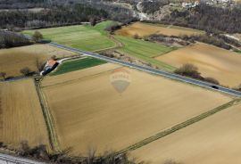 ISTRA, PAZIN - Poljoprivredno zemljište oranica 1km od grada, Pazin - Okolica, Tierra