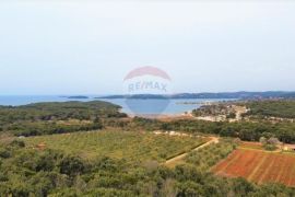 Rovinj,parcela sa otvorenim pogledom na more 4400m2, Rovinj, Terrain