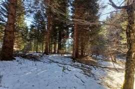 Jasenak - građevinski teren 1507 m2, Ogulin, Zemljište