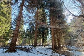 Jasenak - građevinski teren 1507 m2, Ogulin, Zemljište