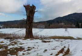 Građevinski teren sa ucrtanom kućom - Jasenak, Ogulin, Zemljište