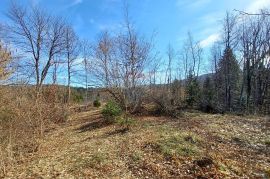 Završje - građevinsko/poljoprivredni teren 8650 m2, Brod Moravice, Land