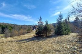 Završje - građevinsko/poljoprivredni teren 8650 m2, Brod Moravice, Land