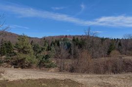 Završje - građevinsko/poljoprivredni teren 8650 m2, Brod Moravice, Land