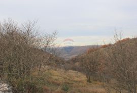 Istra,okolica Momjana, građevinski teren, Buje, Земля