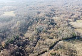 ISTRA, NEDEŠĆINA - Poljoprivredno zemljište 16959 m2, Sveta Nedelja, Land