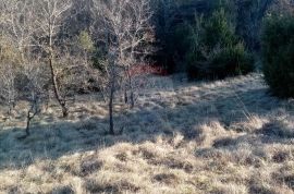 Žminj,2,5km 15200m2 poljoprivredno zemljište, Žminj, Land