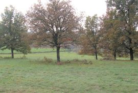 Istra , Katun - okolica Pazina, građevinsko zemljište industrijske namjene 12300m2, Pazin - Okolica, Land