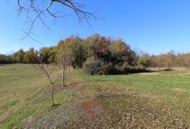 Istra, građevinsko zemljište u okolici Višnjana od 6 850 m2, Višnjan, Land